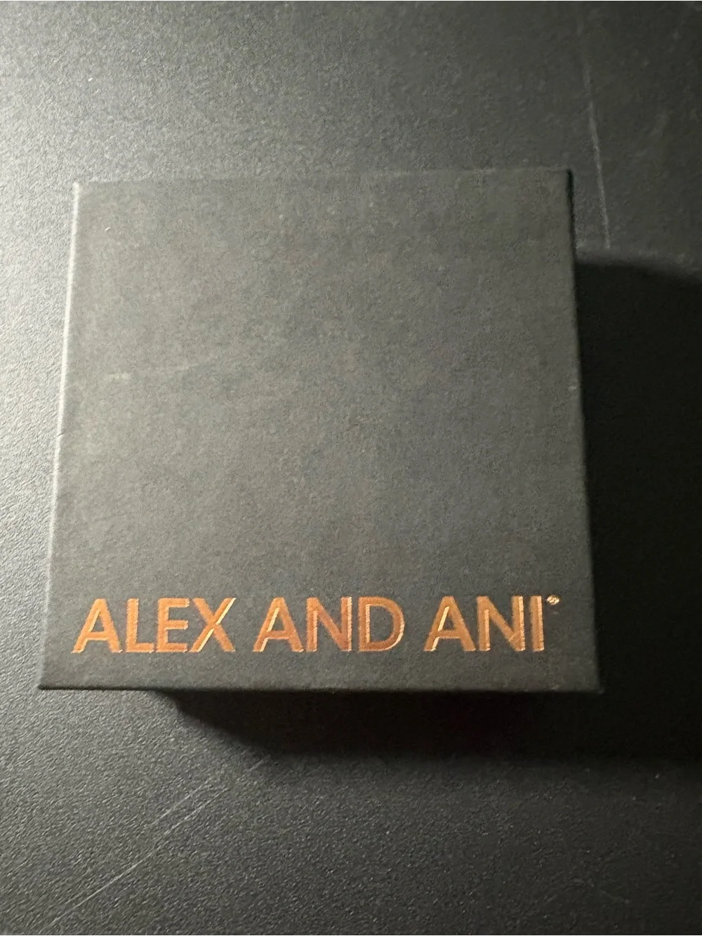 Alex and Ani Silver Filigree Necklace - Silver